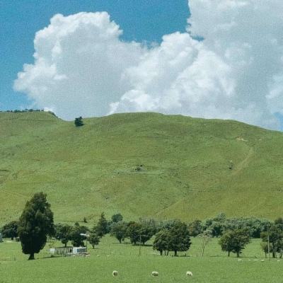 百姓官方彩票网站