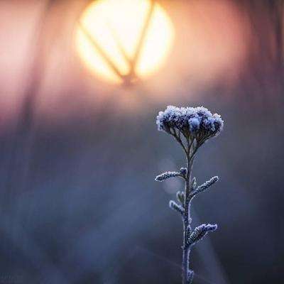 2023年新澳门今晚开特马手机app下载